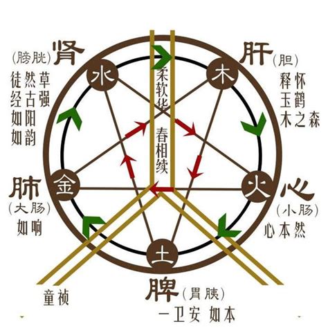 金木水火土 器官|中医蕴含的五行学说，五脏之间的关系